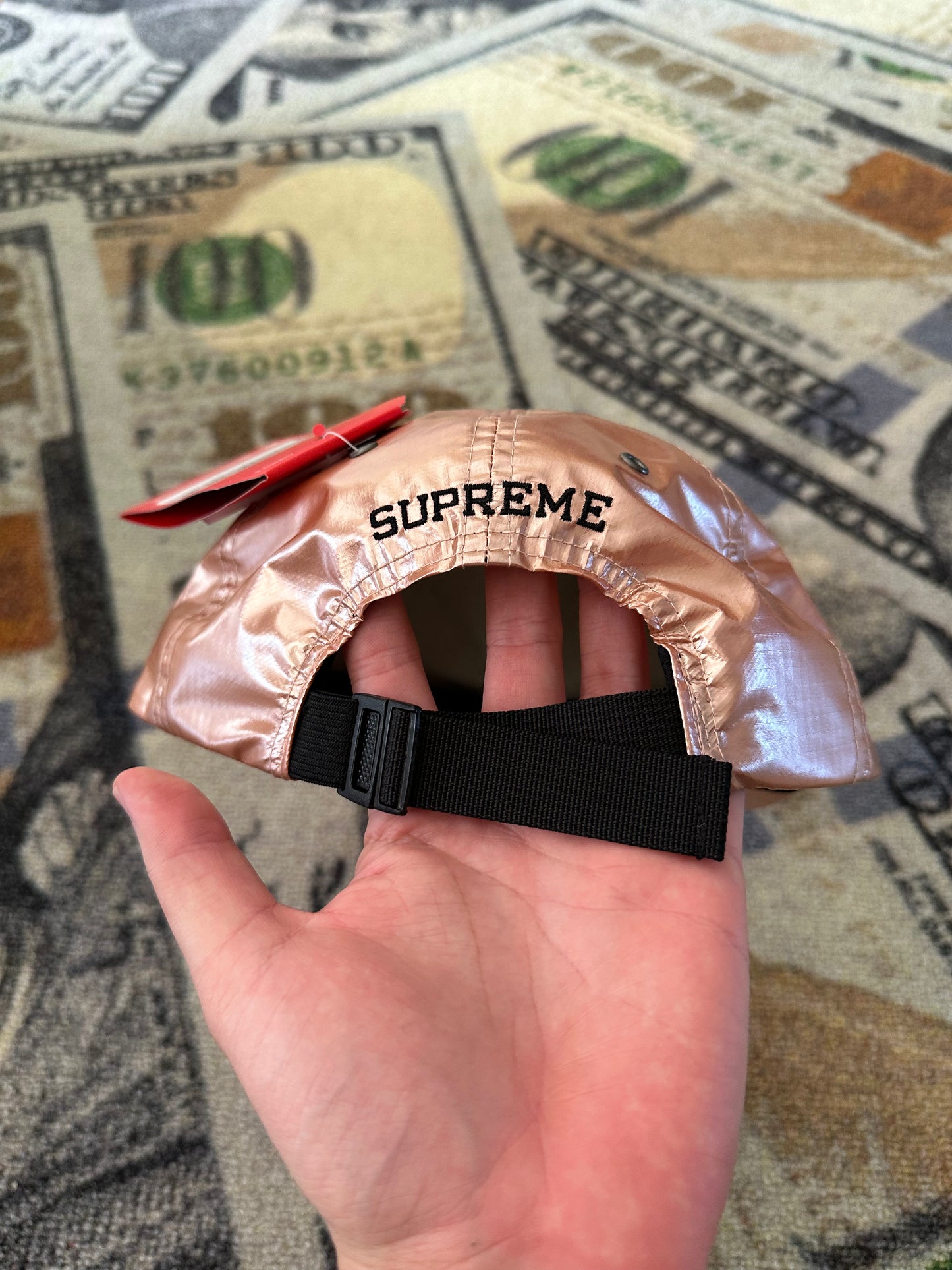 Supreme x The North Face Metallic 6-Panel Cap