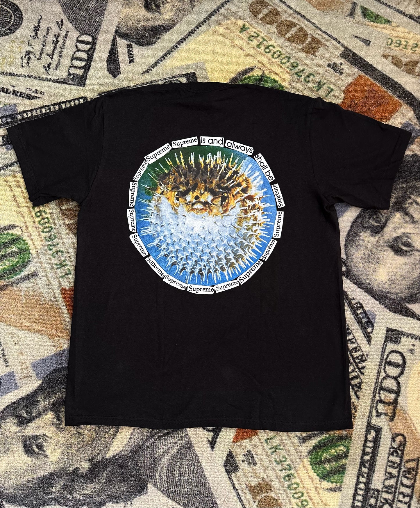 Supreme Blowfish Tee – Black