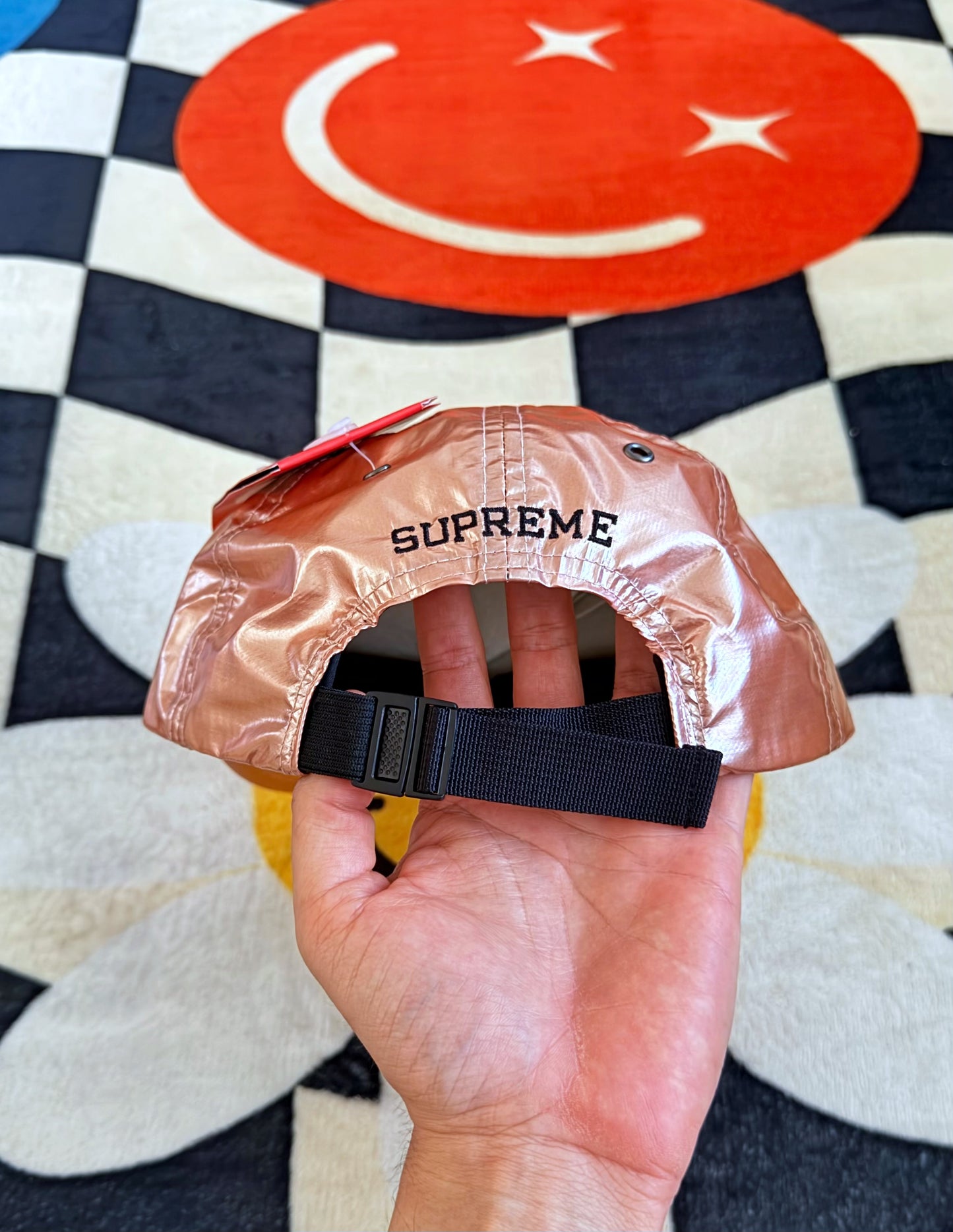 Supreme x The North Face Metallic 6-Panel Cap